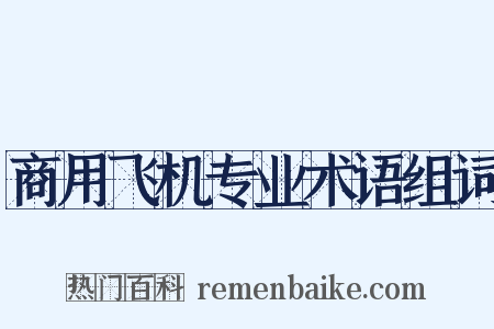 商用飞机专业术语组词是什么意思的图片